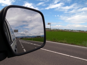Identifying Blind Spots: How to Make a CEO Successful in the Role