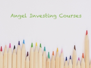 Angel investing courses
