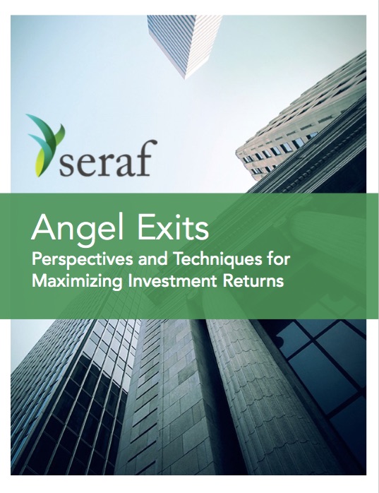 Angel Exits: Perspectives and Techniques for Maximizing Investment Returns