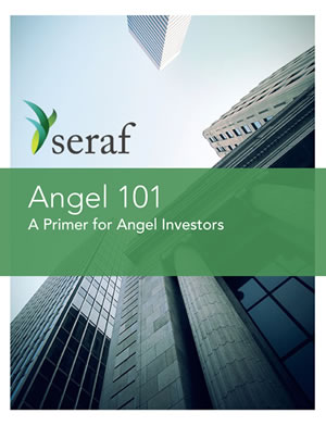 Cover of Angel 101: A Primer for Angel Investors