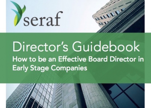 Director's Guidebook for Early Stage Investors