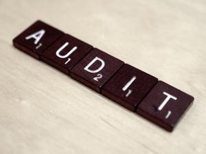 Angel Investing Guide to Audits
